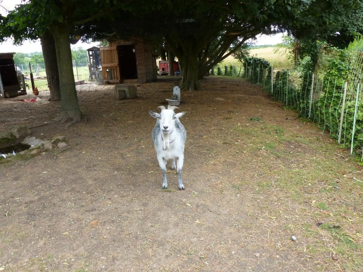 Maison De Campagne Familiale Avec Mini-Ferme Et Activites Pour Enfants - Fr-1-489-121 Saligny-sur-Roudon 0*,